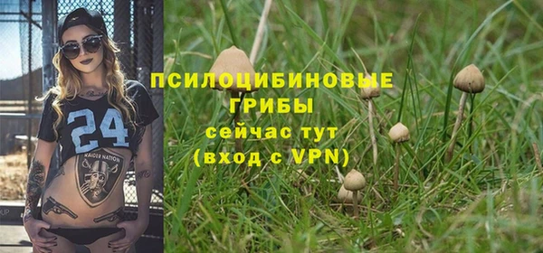 экстази Арсеньев