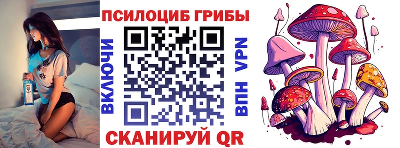 Псилоцибиновые грибы Psilocybine cubensis  Баймак 
